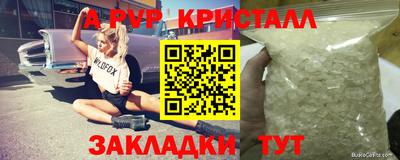 a pvp Сланцы