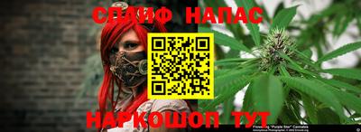 a pvp Сланцы