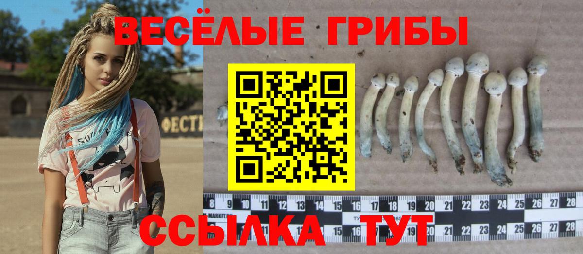 Псилоцибиновые грибы GOLDEN TEACHER Нижний Новгород